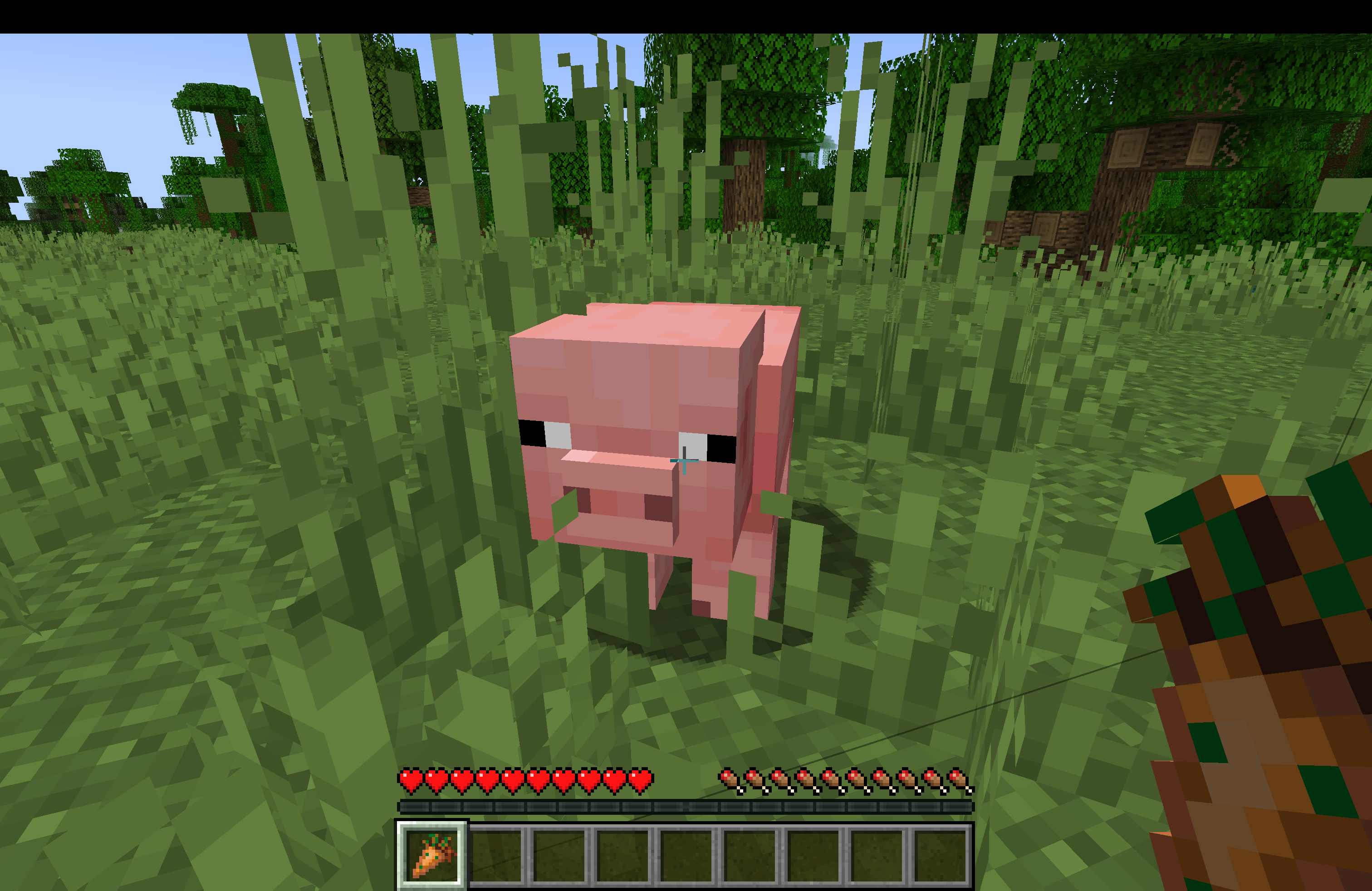 Normal Pig